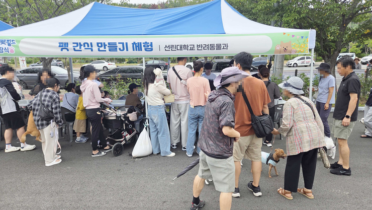 펫간식 만들기 사진01