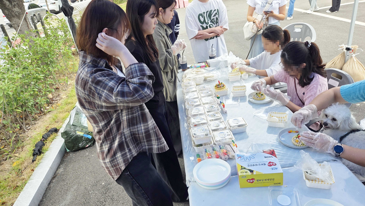 펫간식 만들기 사진02