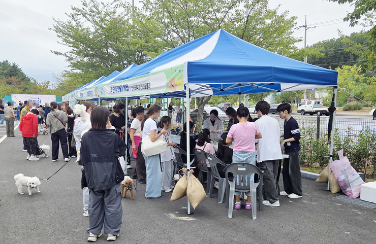 펫간식 만들기 사진03