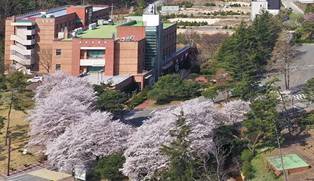 선린대학교